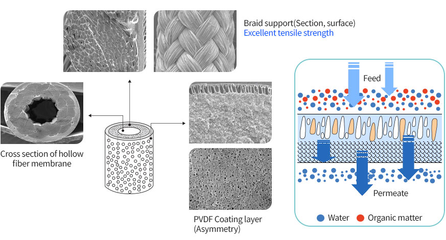 Structure of Hollow Fiber Membrane photo